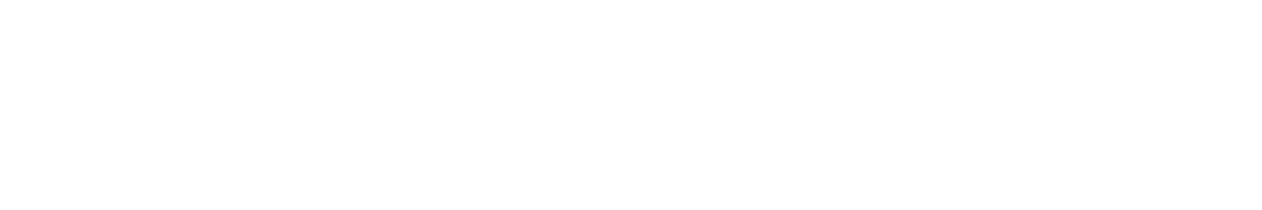 swiss made software